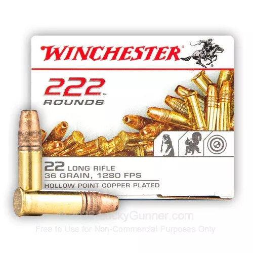 .22 LR 36 Grain Copper Plated Hollow Point – Winchester – 222 Rounds