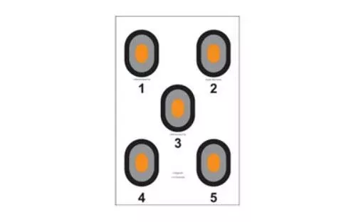 Action Target Bulls-Eye Five Bullseye w/Orange Center 100 Per Box 530-OC-100