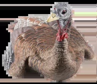 Avian X LCD Laydown Hen Turkey Decoy