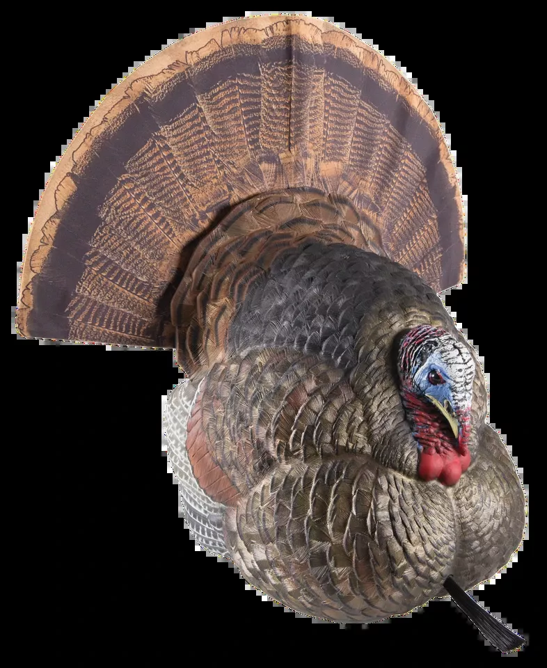Avian X LCD Strutter Turkey Decoy - Multi-Color Dura-Rubber