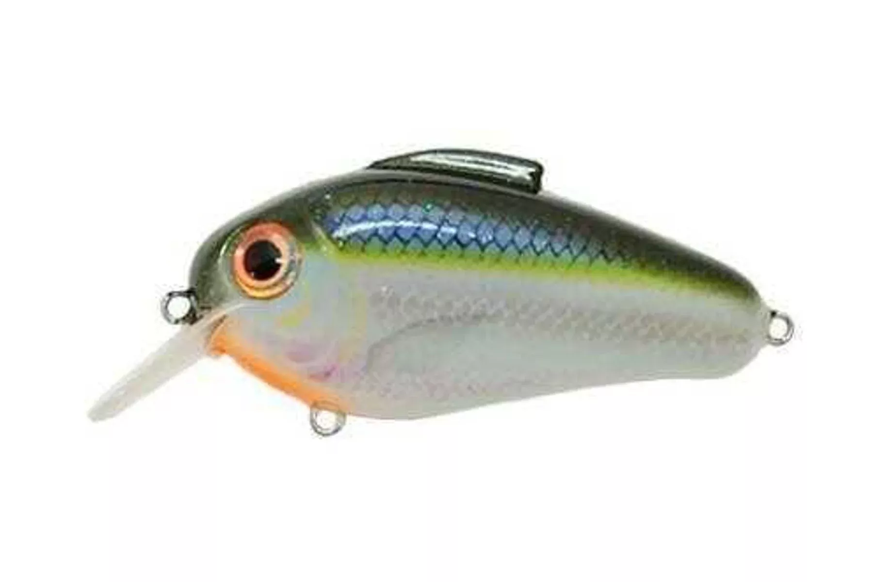 Bill Lewis Lures Echo 1.75 Crankbait 5/8 Blue Shiner Model: EC-260