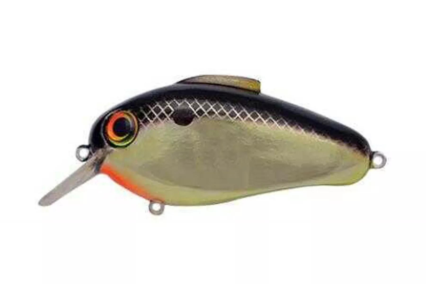 Bill Lewis Lures Echo 1.75 Crankbait 5/8 Gold Shad Model: EC-SY2
