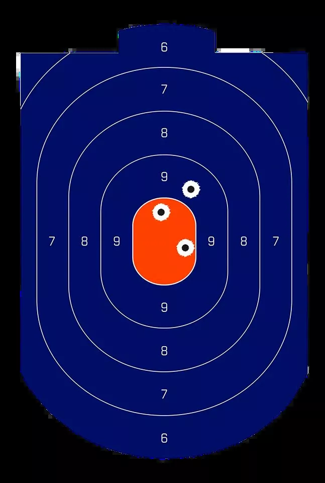 Birchwood Casey Dirty Bird 12"x18" Silhouette Targets - 100 Pack