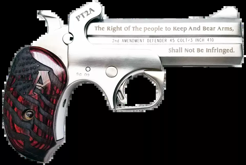 Bond Arms PT2A 38 Special/.357 Mag Stainless Steel with Rosewood Grip