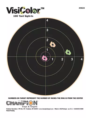 Champion VisiColor Bullseye Target Pack - 10 Multi-Color Sheets with Pasters
