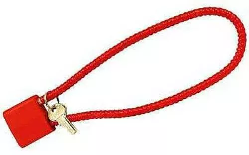 DAC TechFALSElogies Cable Lock 15" California Approved Cl012014