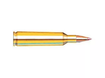 Hornady 22-250 55 Grain V-Max 20 /200