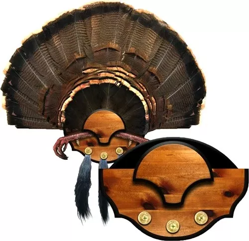 Mountain Mike's Beard Master Turkey Plaque Kit