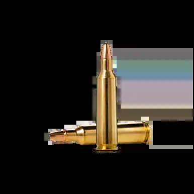 Norma Pro Hunter 22-250 Rem Oryx 55 Gr, 20 Rounds