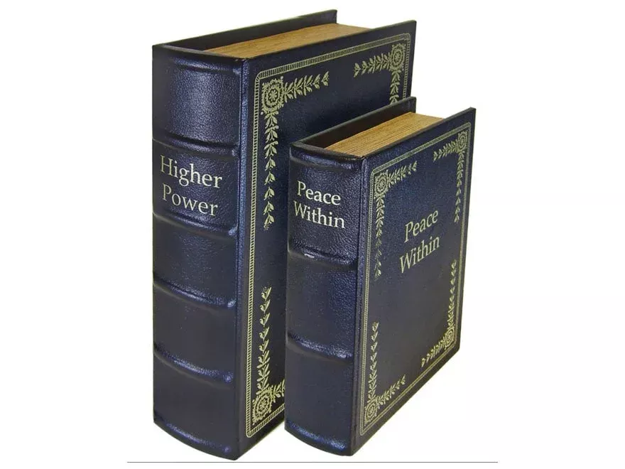 Peace Keeper Diversion Books Set of Two Black
