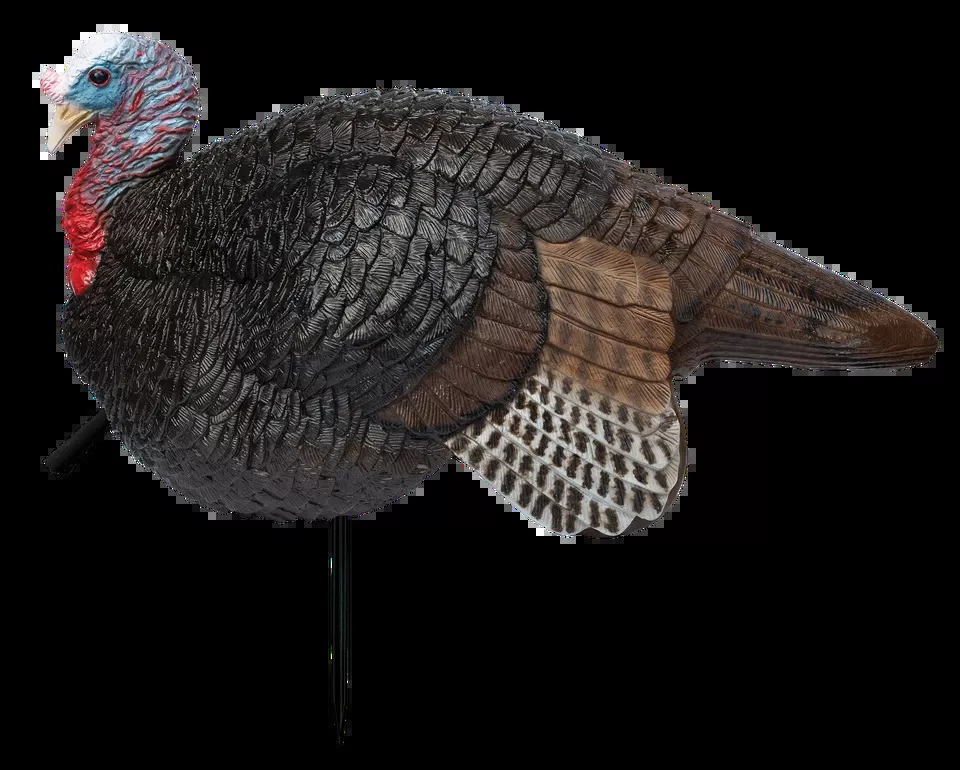 Primos 69074 Lil' Gobstopper Jake Turkey Decoy - Multi-Color