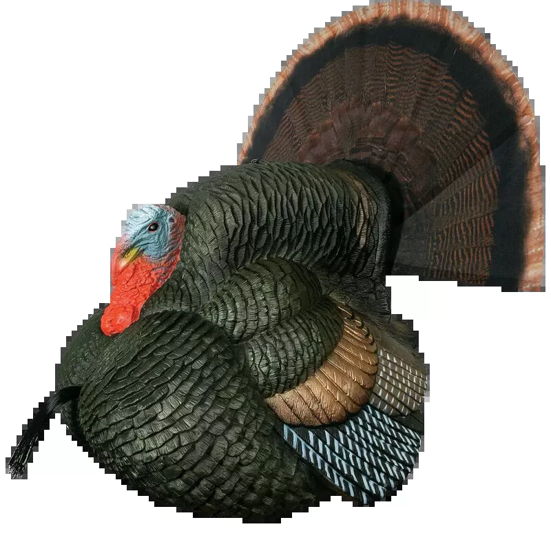 Primos 69076 Lil' Gobblestopper Strutter Box Call for Authentic Turkey Sounds