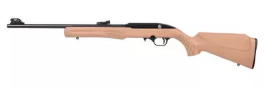 RS22 22LR BLK/FDE 18″ 10+1