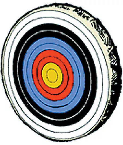 SAUNDERS ARCHERY COMPANY Skirted 4-Color Faces 122 cm 1580