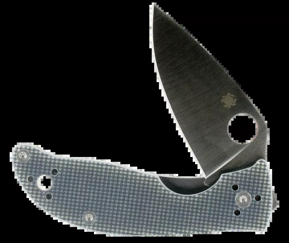Spyderco Polestar Folding Knife with Gray G10 Handle and CTS BD1 Blade