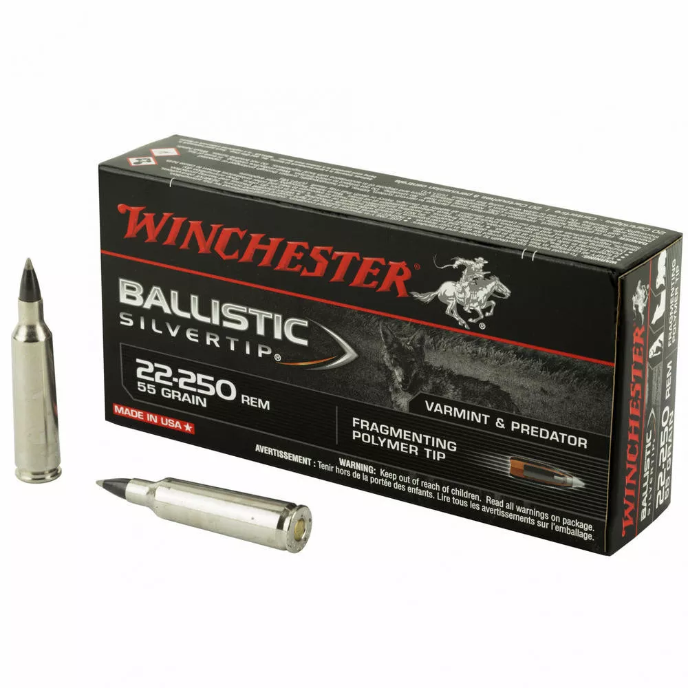 Win Ballistic Tip 22-250 55gr 20 /200