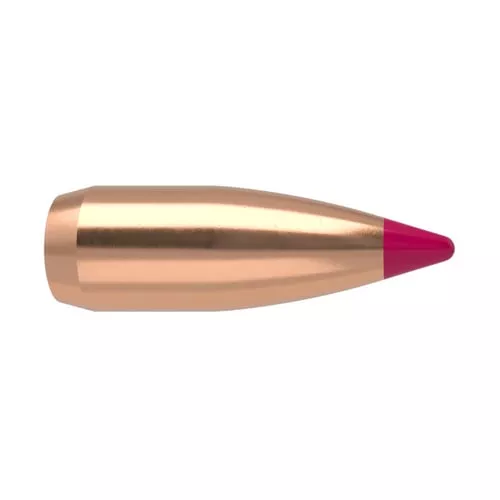 WORN NOSLER 39573 BALLISTIC TIP VAR .204 32G 250